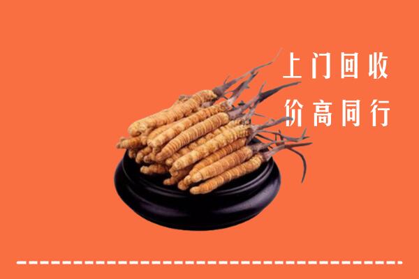 高价求购：遵化回收散虫草